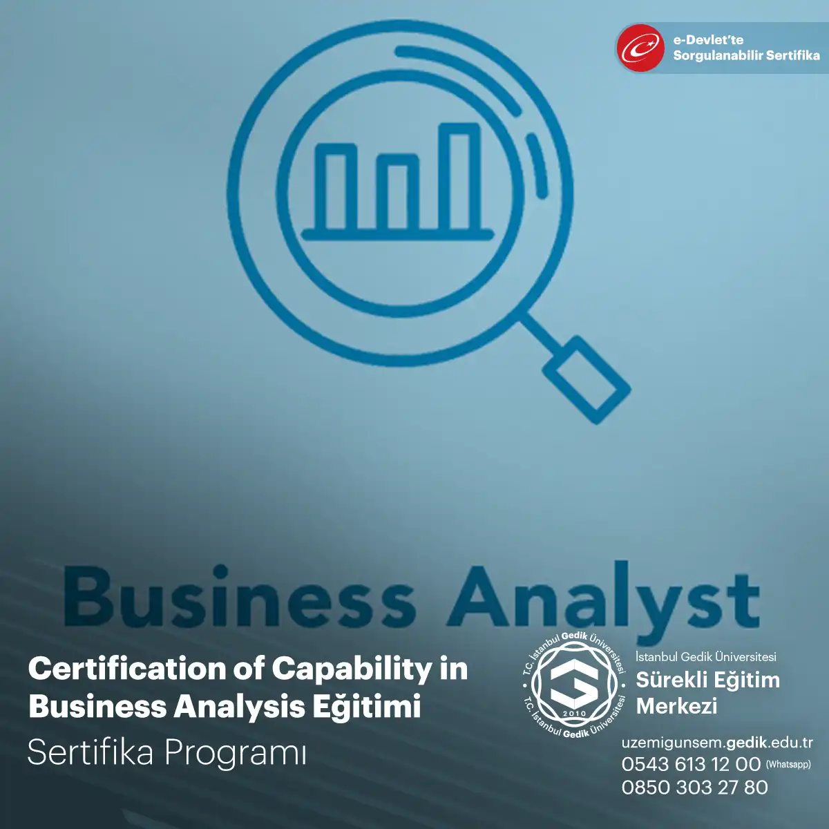 Certification of Capability in Business Analysis Eğitimi 